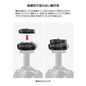 【8月限定P5倍】【Outlet】Manfro...の詳細画像1