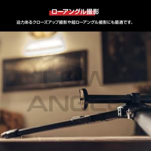 【8月限定P5倍】【Outlet】Manfro...の詳細画像3