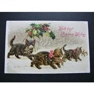 アンティークポストカード　雪の中、ヒイラギ＆ヤドリギの枝を運ぶ３匹の猫たち　クリスマス　1909年