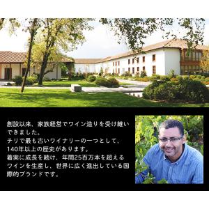 ワイン 赤ワイン プエンテ ネグロ 赤 チリ産...の詳細画像1