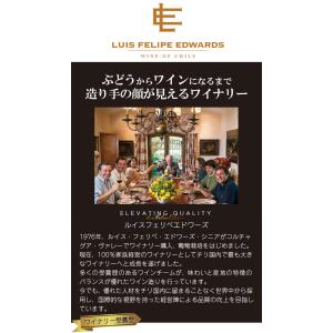 ワイン 白ワイン オーガニックワイン フローラ...の詳細画像1