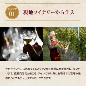 ワイン エル シルコ シラー スペイン 辛口 ...の詳細画像3