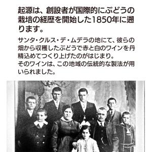 ワイン 赤ワイン タニス グラン レゼルバ ス...の詳細画像3