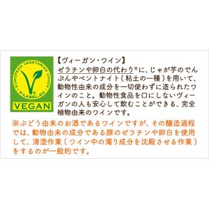 ワイン ロドリア シャルドネ スペインワイン ...の詳細画像5