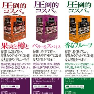 ワイン BOX ワインセット バッグインボック...の詳細画像1