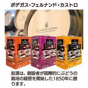 ワイン BOX ワインセット バッグインボック...の詳細画像2