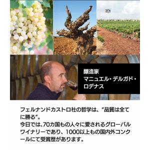ワイン BOX ワインセット バッグインボック...の詳細画像4