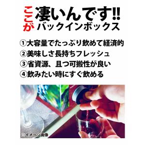 ワイン BOX ワインセット バッグインボック...の詳細画像5