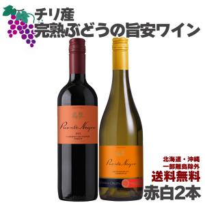 ワイン お買い得！スパークリング 飲み比べセット 750ml 2本セット お