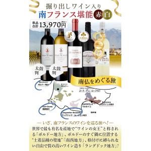 ワインセット 赤白 5本セット フランス ボル...の詳細画像2