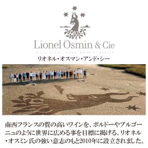 ワインセット 赤白 5本セット フランス ボル...の詳細画像3