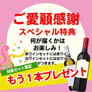 今だけ1本おまけ ワイン ワインセット 超コス...の詳細画像2