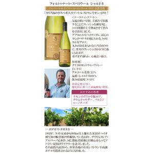 オリーブ缶おまけ付 ワイン ワインセット 白ワ...の詳細画像3