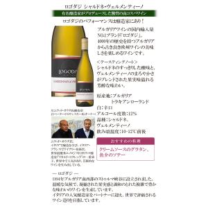 オリーブ缶おまけ付 ワイン ワインセット 白ワ...の詳細画像5
