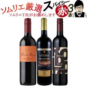 ワイン ワインセット 赤ワイン オーガニックワイン 赤 4本 辛口