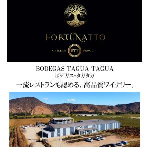 ワイン ワインセット 福袋 赤ワインセット 6...の詳細画像3