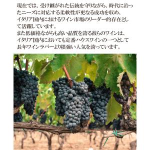 ワイン福袋 ワイン ワインセット 赤ワイン好き...の詳細画像5