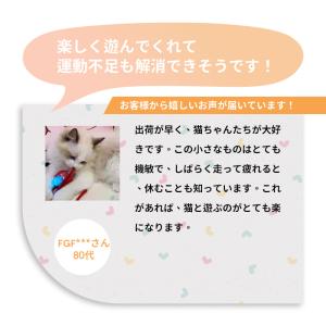 【2つ目50%オフ】猫用おもちゃ 犬おもちゃ ...の詳細画像5
