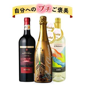 ワイン ワインセット 赤白泡 赤ワイン 白ワイン...の商品画像