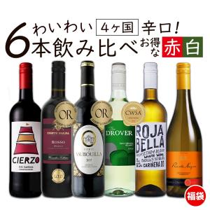第47弾 イタリア 白ワイン 6本セット 辛口 750ml イタリアの名産地から