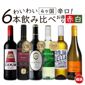 ワイン ワインセット お買い得 赤白 わいわい楽しめる 辛口 6本 スペイン フランス チリ イタリア 金賞 送料無料 一部除外 福袋 おまけ付｜ワイン館ビバヴィーノ 別館