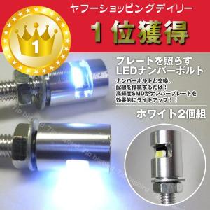 バイク LED ナンバー灯 2個組 黒 / 銀 ナンバーを照射