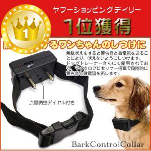 犬 しつけ 首輪 無駄吠えするワンちゃんのしつけに 無駄吠え防止首輪