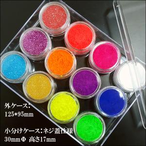 蛍光顔料 ラメパウダー 12色 (E) ジェル...の詳細画像1