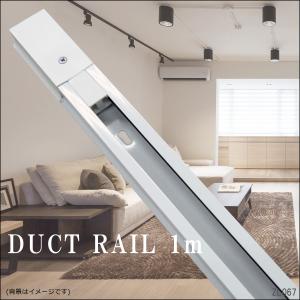 訳あり ダクトレール 直付専用型 配線ダクト ライティングレール  1M ホワイトorブラック