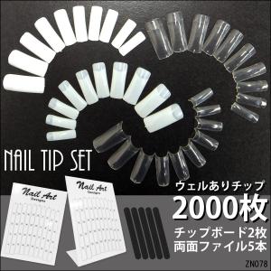 送料無料 大容量 スカルプ用 アクリルパウダー クリア 白 ピンク 3色