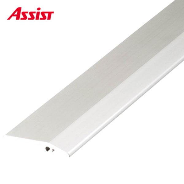 20-112JS-2 穴有 定尺2.00M 本売り アシスト 現場配送不可