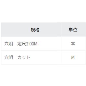 20-657 穴有 定尺2.00M 本売り ア...の詳細画像2