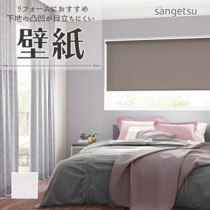 サンゲツ（SANGETSU） FE76456 壁紙 石目調 グレー系 ベーシック 吸放