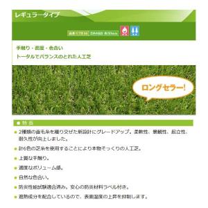 人工芝 CTR30 芝糸タイプ約30mm 2m...の詳細画像1