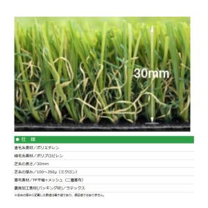 人工芝 CTR30 芝糸タイプ約30mm 2m...の詳細画像2