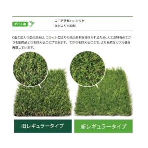 人工芝 CTR30 芝糸タイプ約30mm 2m...の詳細画像4