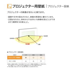 壁紙 石目調 ホワイト系 プロジェクター用壁紙...の詳細画像4