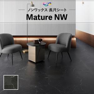 FS4250 長尺シート 土足対応 東リ マチュ...の商品画像