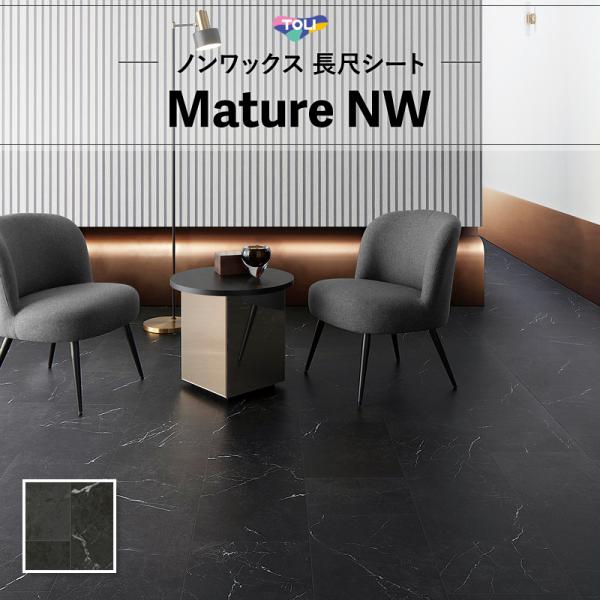 FS4250 長尺シート 土足対応 東リ マチュアNW 2ｍｍ厚 182ｃｍ巾 石目 ストーン ブラ...