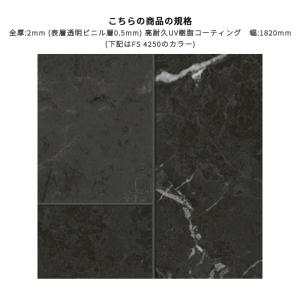 FS4250 長尺シート 土足対応 東リ マチ...の詳細画像1