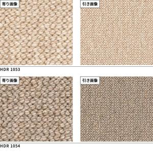 サンホリデーII ロール巾364cm巾 サンゲ...の詳細画像2