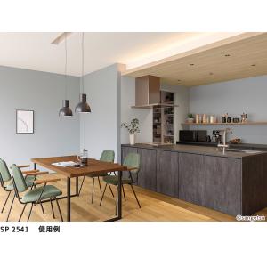SP2541 壁紙 のりなし 量産クロス サンゲツの詳細画像4