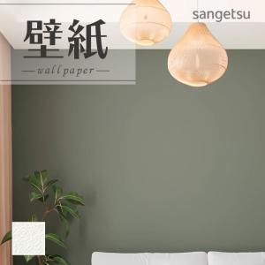 ヤヨイ化学 壁紙剥離剤 クロス用トルトーレ 500g : イーヅカ - 通販