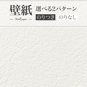 SP9741 壁紙 塗り調 白系 ホワイト系 ラフ 賃貸 補修 リビング 天井 おしゃれ 壁紙貼り替え リフォーム のり付き のりなし サンゲツ 量産クロス｜vivakenzai2