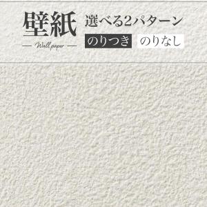 サンゲツ（SANGETSU） 壁紙 北欧・カジュアル FE76845 1m長 糊なし