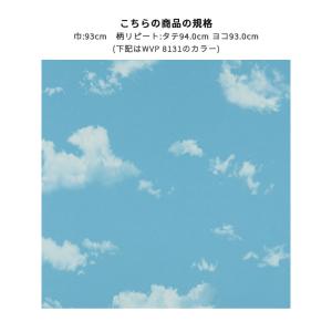 WVP8131 空柄 青空 雲 ブルー系 天井...の詳細画像1