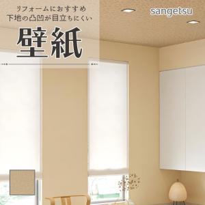 ヤヨイ化学 壁紙剥離剤 クロス用トルトーレ 500g : イーヅカ - 通販