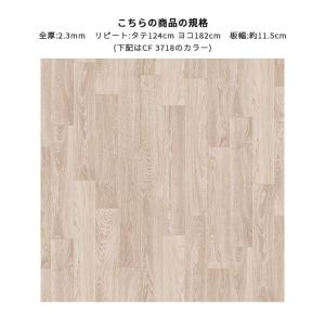 抗菌 抗ウイルス 土足対応 ペット対応 エリソ...の詳細画像1