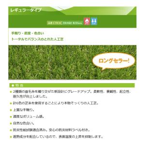 人工芝 CTR30 芝糸タイプ約30mm 2m...の詳細画像1