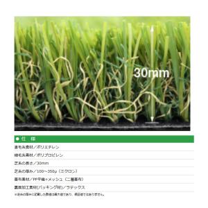 人工芝 CTR30 芝糸タイプ約30mm 2m...の詳細画像2